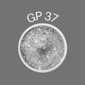 Zure Gel Painting - GP 37 – Zure Cosmetics