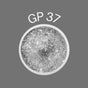 Gel Painting GP 37 Zure Cosmetics