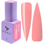 Esmalte en Gel Ojo de Gato DNKa #0024 12 ml